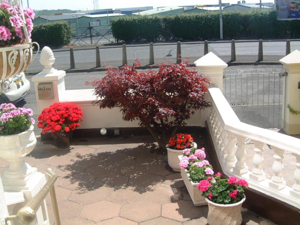 Manor House B And B Larne Bagian luar foto