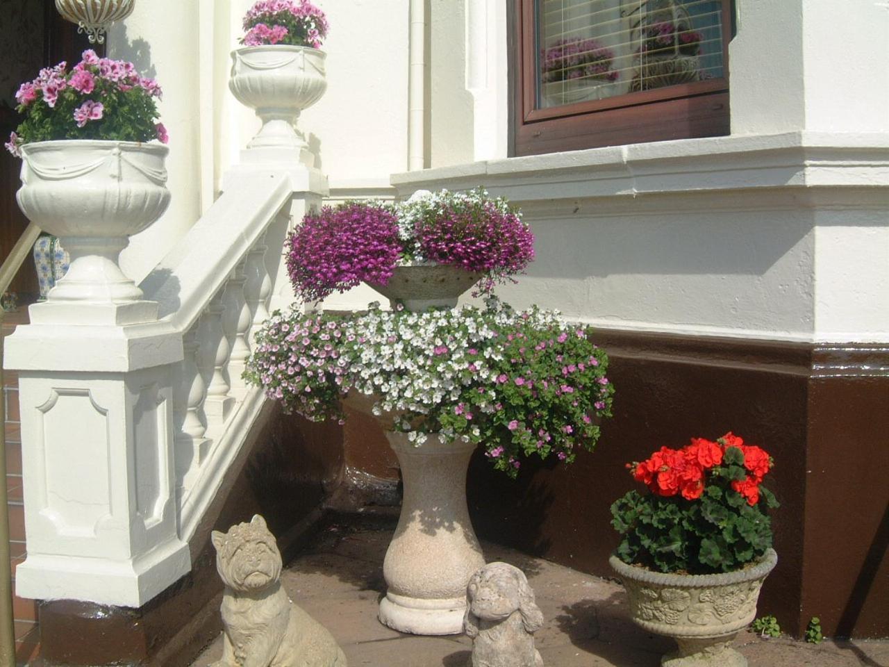 Manor House B And B Larne Bagian luar foto