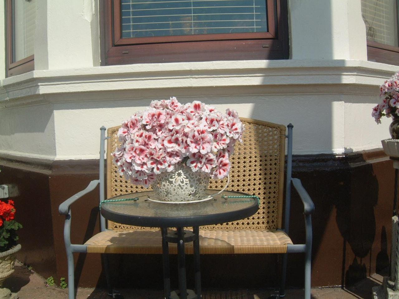 Manor House B And B Larne Bagian luar foto